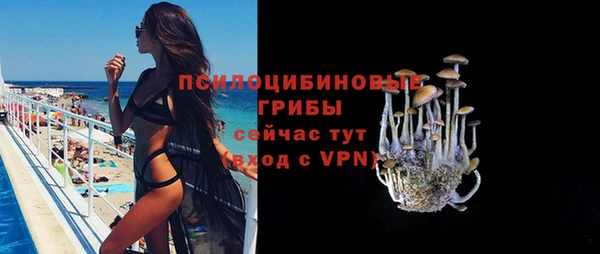 соль ск Богородицк